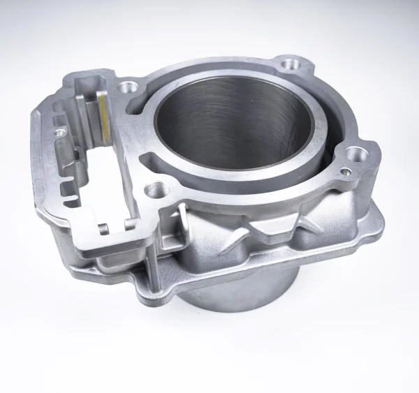 AODES / UPMOTO PATHCROSS 650 Cilindras 21170100201 / 21170100202