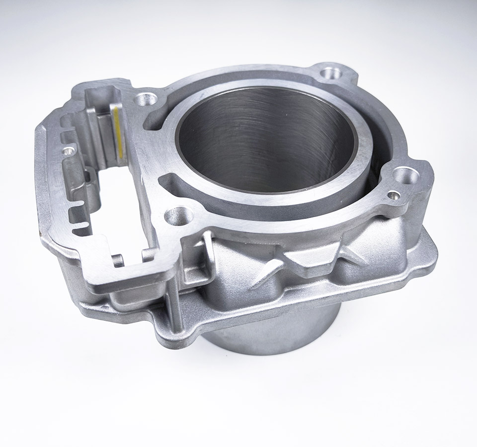 AODES / UPMOTO PATHCROSS 650 Cilindras 21170100201 / 21170100202