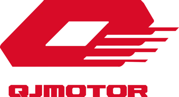QJMOTOR SFA 600/1000 VIDINIS VARIATORIAUS DANGTIS 209356770000